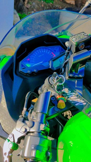 Kawasaki Ninja 300 2013