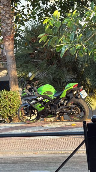 Kawasaki Ninja 300 2013