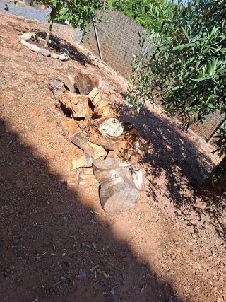 Leña para chimenea o barbacoa, p8no y morera