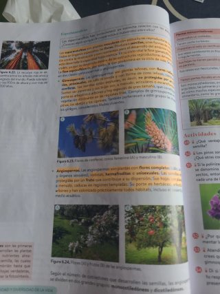 Biología, Geología y CC. Ambientales 1º Bachill...