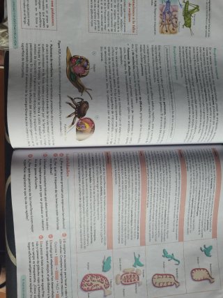 Biología, Geología y CC. Ambientales 1º Bachill...