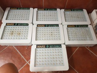Kit cultivo de interior:Focos,bombillas,macetas