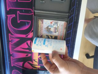 Pokemon Conquest DS Japonés