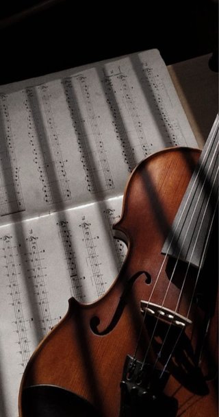 Clases particulares de violín a domicilio