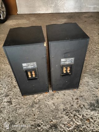 B&W DM602