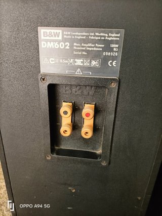 B&W DM602
