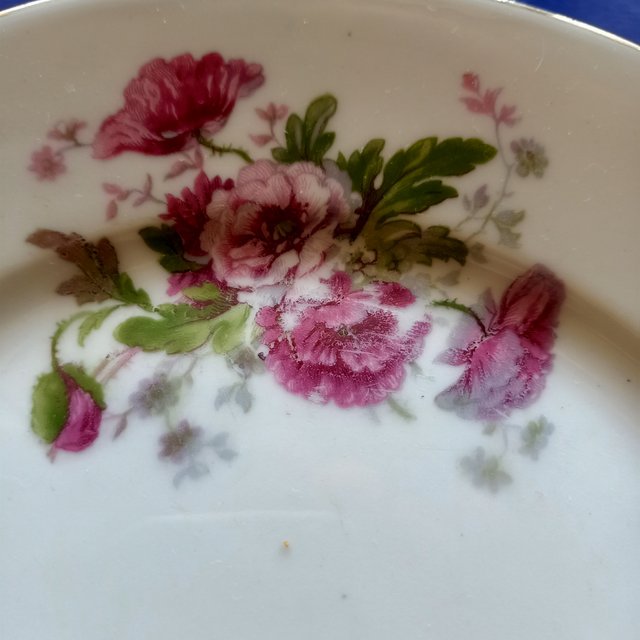 Plato fuente de presentación Limoges