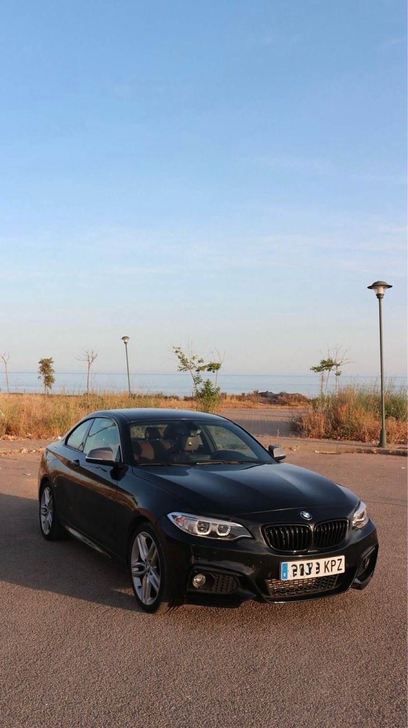 BMW Serie 2 220d 2015 - foto 1