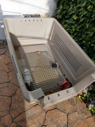 Transportín grande para perro