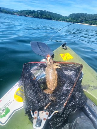 Kayak de pesca verde