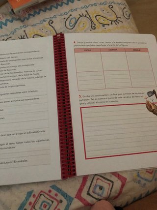 Lengua castellana, 4 Educación Primaria, Progra...