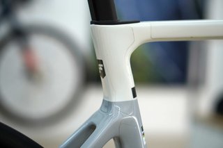 Focus Izalco Max 9.8 Talla M