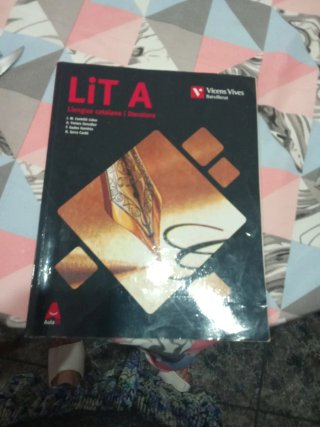 LIT A Llengua catalana i literatura : batxillerat