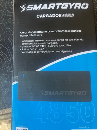 Caricabatterie SmartGyro 4850