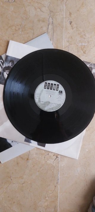 Vinilo LP Sting The Dream of the Blue Turtles