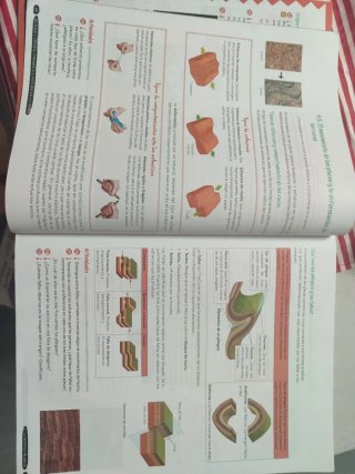 Biología y Geología, 4 ESO, Andalucía
