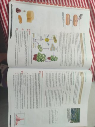 Biología y Geología, 4 ESO, Andalucía