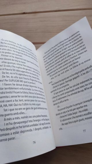 Diari d'una sonada