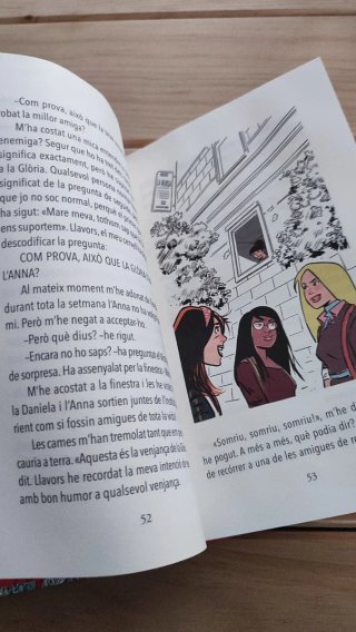 Diari d'una sonada