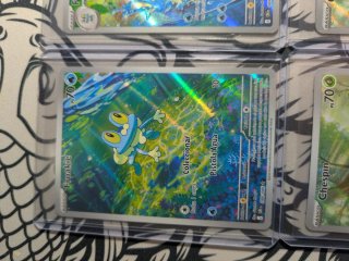 Colección Cartas Pokémon: Caos Creciente