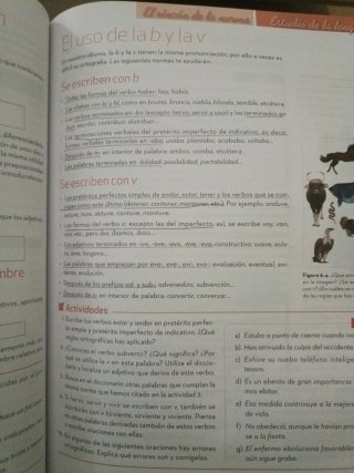 Lengua castellana y Literatura 1.º ESO