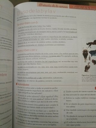 Lengua castellana y Literatura 1.º ESO