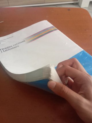 Puntal 3. Llengua catalana i Literatura 3 ESO