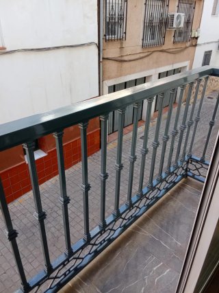 Pintor en granada