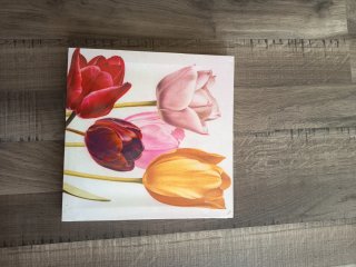 Cuadros de flores