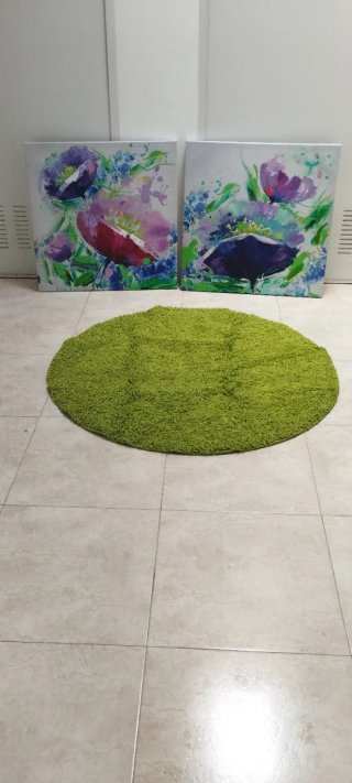 2 Cuadros Flores y Alfombra Verde