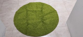 2 Cuadros Flores y Alfombra Verde