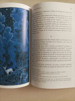 25. Leyendas y rimas