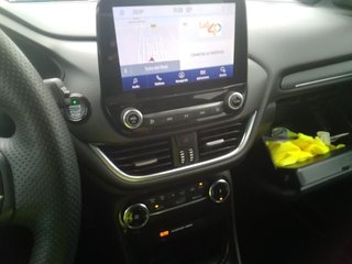 Ford Puma (97) 2022