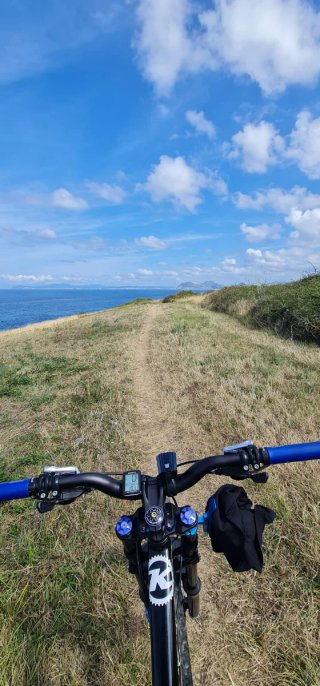 Bicicleta KONA Stinky DH