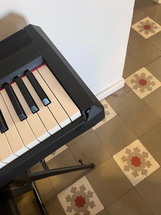 Teclado Yamaha P-115