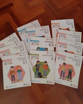 Lote libros 6 primaria Vicens Vives