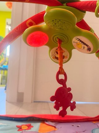 Gimnasio Actividades Bebé Musical Tiny Love