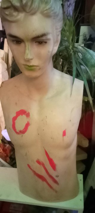 Torso Maniquí Masculino