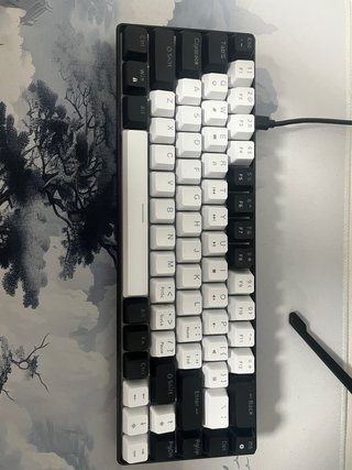 Teclado Mecánico Blanco y Negro