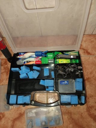 2 Cañas de Pescar con Carretes y Accesorios