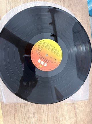 Vinilo Roberto Carlos Canta en Español