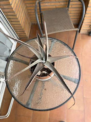 Conjunto de terraza mesa y 2 sillas