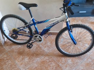 Bicicleta Infantil Rodado 24