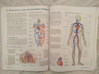 Anatomía Aplicada