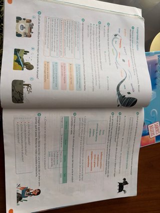 Libros lengua castellana 4 primaria