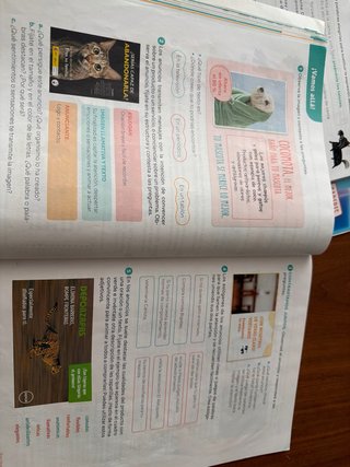 Libros lengua castellana 4 primaria