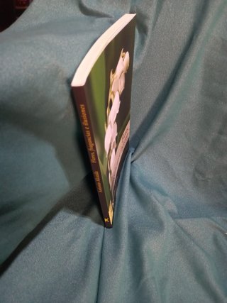 Libro Flores fragancias e ilusiones