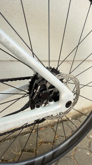 Megamo Pulse SLR 2026