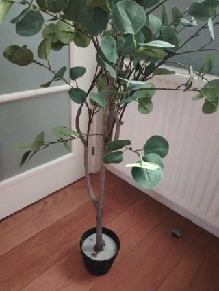 Planta Eucalipto Artificial 1.20m