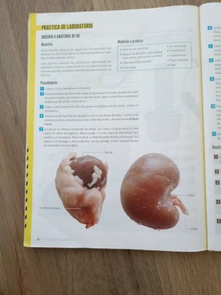 Bioloxía e Xeoloxía, 3 Secundaria, Fanfest